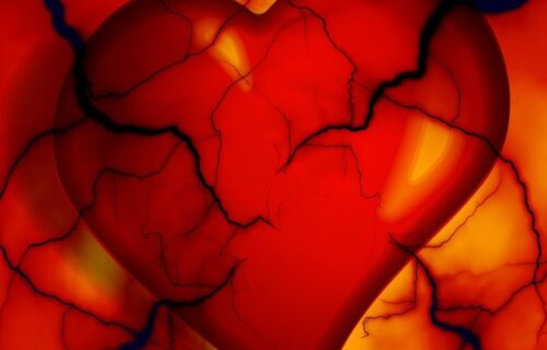 DNA connection to the heart