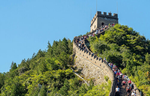 The Milestones in Human Fitness