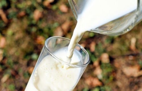 Antibiotic Residues Found in Milk, Says Study.