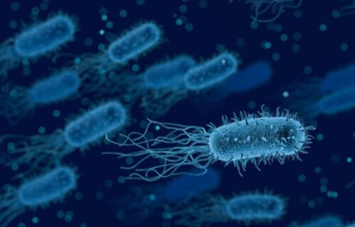 Rise of the drug resistant superbugs in urban areas